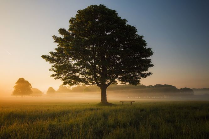 Mindfulness Challenge: Take a self-compassion break