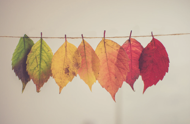 Changes are coming during Open Enrollment