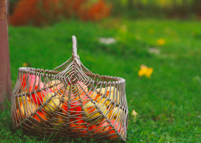 Fitness Challenge: Enjoy fall activities