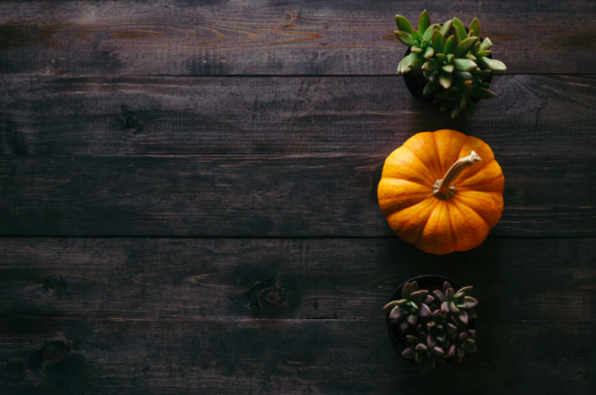 Office closed for Thanksgiving