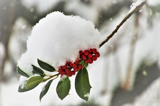 Happy Holidays! Office closure notice