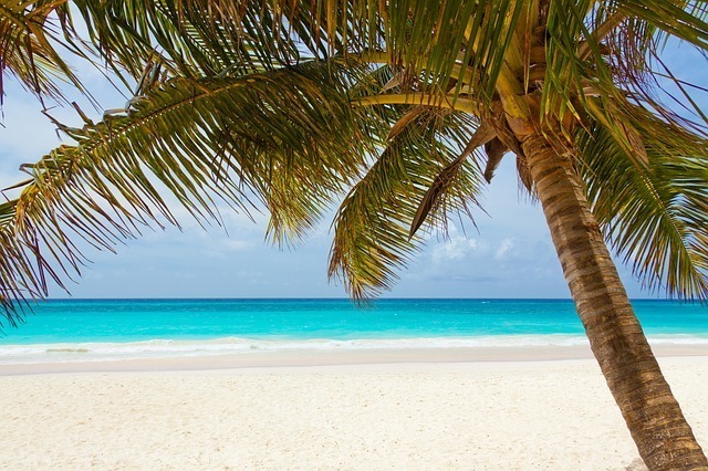 The lowdown on SPF